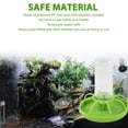 thumbnail image 3 of Reptile Water Bottle Automatic Feeder Dispenser  for Lizard Tortoise Chameleon Safe Durable PP Material, 3 of 7