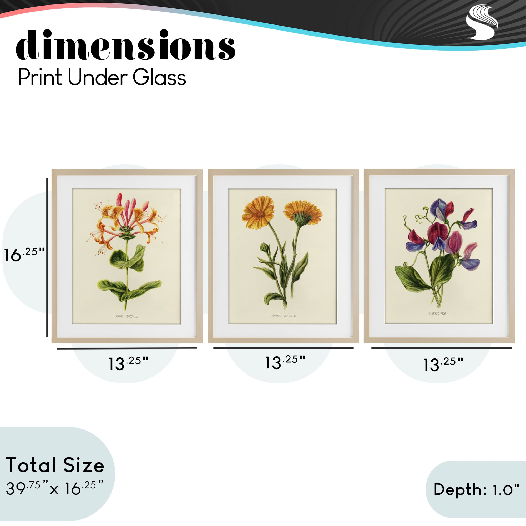Stupell Industries Flowering Plants Vintage Illustration 3 Piece Birch Framed Print Under Glass Set, design by Connie Resch