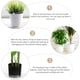 thumbnail image 5 of 25pcs Simple FlowerPot Bandeja Home Plástico Flor Pot Base Planter Bandeja de agua, 5 of 5