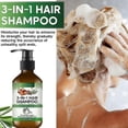 thumbnail image 2 of 3-IN-1 Batana Oil Shampoo & Conditioner Set, Organic Batana Oil Scalp Treatment for Hair Growth for Thinning Hair & Hair Loss, Infused with Rosemary A, 2 of 5