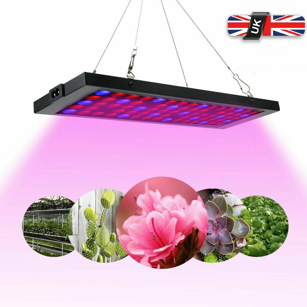 LED Plant Light Greenhouse Seedling Succulent Plant Growth Filling