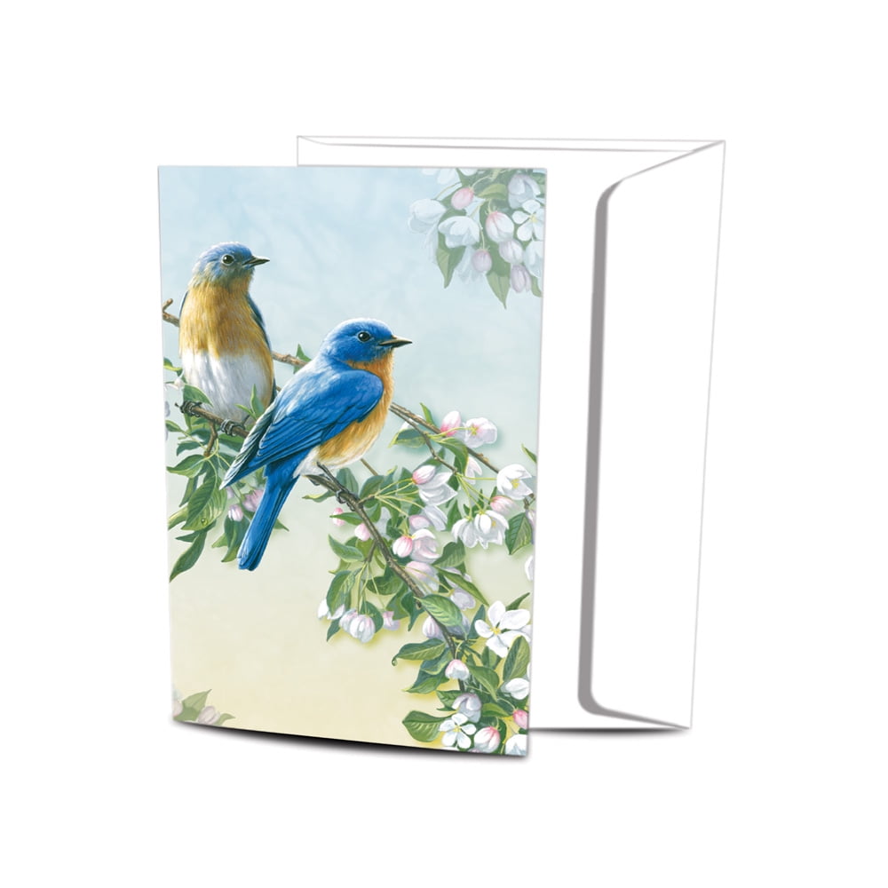 12-Conde tarjetas para apuntes.. Tree-Free Greetings econotes Notecard conjunto 4 X 6 Pulgadas