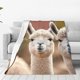 thumbnail image 1 of Balery Cute Alpaca in Daze Manta de Felpa Suave y Acogedora – Cobija de Franela Aterciopelada para Cama, Lavable y Cálida para Sofá, Mascotas, Transpirable-40"x30", 1 of 7