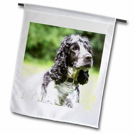 3dRose Cocker Spaniel, Family Dog, Best Friend Polyester 1'6'' x 1' Garden (Best Guard Dogs For Families With Small Children)