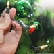 thumbnail image 5 of Pequeña cadena de luces navideñas, deslumbrante, 20 m, 100 LED, 5 of 7