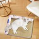 thumbnail image 1 of RKSTN Cat Bed Pet Mat Nest, Summer Cat Rattan Mat, Dog Mat Dog Nest Cooling Bed Anti-Skid Moisture-Proof Pet Supplies C, 1 of 6