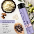 thumbnail image 5 of Sunny Isle Curly Girl Friendly Curl Defining Moisturizing Shampoo 10.1oz, 5 of 9