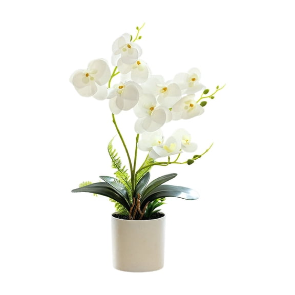 Artificial Potted Phalaenopsis Orchid, Realistic Orchid Bonsai, Faux Phalaenopsis for Living Room Table Decoration