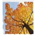 thumbnail image 3 of Ambesonne Tree Shower Curtain, Maple Leaves Fall Autumn, 69"Wx75"L, Orange Blue, 3 of 5