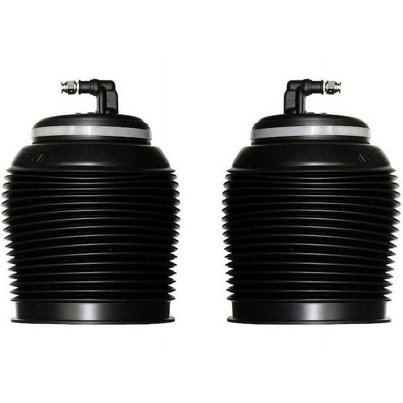 Rear Air Suspension Spring Set - Compatible with 2002 - 2009 Toyota 4Runner 2003 2004 2005 2006 2007 2008