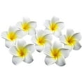 thumbnail image 1 of 100pcs 1.6 Inch Diameter Plumeria Hawaiian Moss Frangipani Flower, 1 of 4