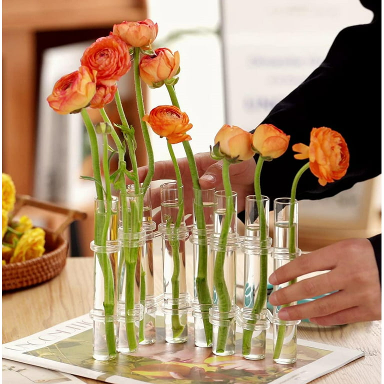 NOGIS Hinged Flower Vase,Test Tube Vase Decorative Glass Flower  Vase,Hydroponic Plant Flower Arrangement Decoration with Brushes (Large, 8  Hole) 
