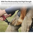 thumbnail image 3 of Farrier's Essential Tool Set, Long Service Life And Resistance To Breaking, Ensuring Dependability In Rigorous Grooming Environments, 3 of 5
