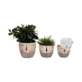 thumbnail image 3 of Modern Handmade Painted Face Ceramic Planters (Set of 3), 3 of 7