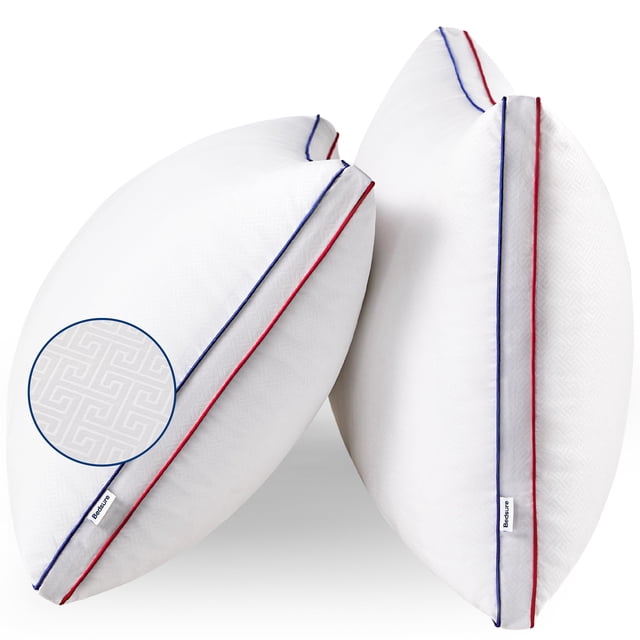 Bedsure Pillows Standard Size Set of 2 - Fluffy Standard Pillows 2 Pack, Bed Pillows for Sleeping Hotel Quality Gusseted Pillow with Down Alternative for Back,Stomach,or Side Sleeper, Machine Washable