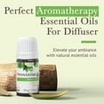 thumbnail image 6 of Pranarom - Tranquility Essential Oil Blend (5ml) - Lemon, Bergamot, Distilled Lime, Petitgrain, Spearmint, Orange - 100% Pure Essential Oil for Grounding & Clarity|USDA and ECOCERT Certified Organic, 6 of 7