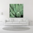 thumbnail image 2 of 24" x 24" Agave 4 by Alan Blaustein - Wall Art Print on Canvas Fabric Green, 2 of 3
