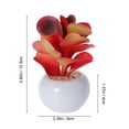 thumbnail image 2 of 4 mini suculentas artificiales decorativas con macetas blancas (multicolor), 2 of 5