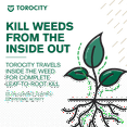 thumbnail image 6 of Torocity Turf Herbicide - Mesotrione Concentrate (8 oz) by Atticus (Compare to Tenacity) – Selective Weed Killer for Lawns – Pre and Post Emergent Control, 6 of 9