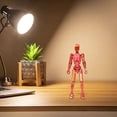 thumbnail image 3 of Action Figure 13 Joint Robot Dummy, 3 of 5