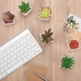 thumbnail image 4 of Artificial Succulents Plants, 6pcs Mini Fake Potted Plants in Pots, Faux Mini Succulents Plants Indoor for Desk Living Room Bedroom Windowsills Office Home Decoration, 4 of 5