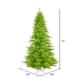 thumbnail image 2 of Vickerman 10' Lime Fir Artificial Christmas Tree, Lime  Dura-lit LED Lights, 2 of 2