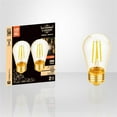 thumbnail image 2 of Xtricity - Set of 2 Old Fashioned LED Bulbs, 3W, E26 Base, 2200K Soft White, 2 of 2