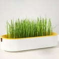 thumbnail image 4 of ACDANC Hydroponic Cat Grass Box Cat Treats Catnip Hydroponic Soilless Cat Cat Grass Seeds, 4 of 7