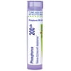 Boiron Phosphorus 200CK, Homeopathic Medicine for Dizziness With Sleeplessness, 80 Pellets
