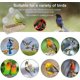 thumbnail image 4 of Comedero para pájaros con ventana, comedero para pájaros acrílico transparente, a prueba de lluvia, bandeja de alimentación deslizante desmontable con 3 ventosas, comederos para pájaros, 4 of 5