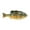 HD Pumpkinseed, variant on Berkley PowerBait Gilly 90 Fishing Soft Bait HD Pumpkinseed