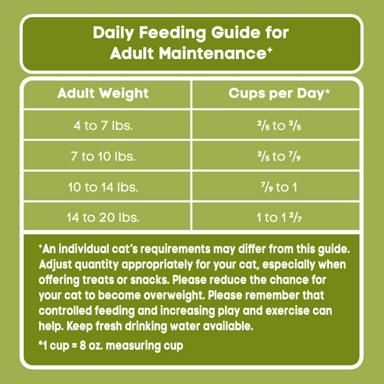 Special Kitty Dry Cat Food Indoor Chicken Pea Flavor 16 lb Bag