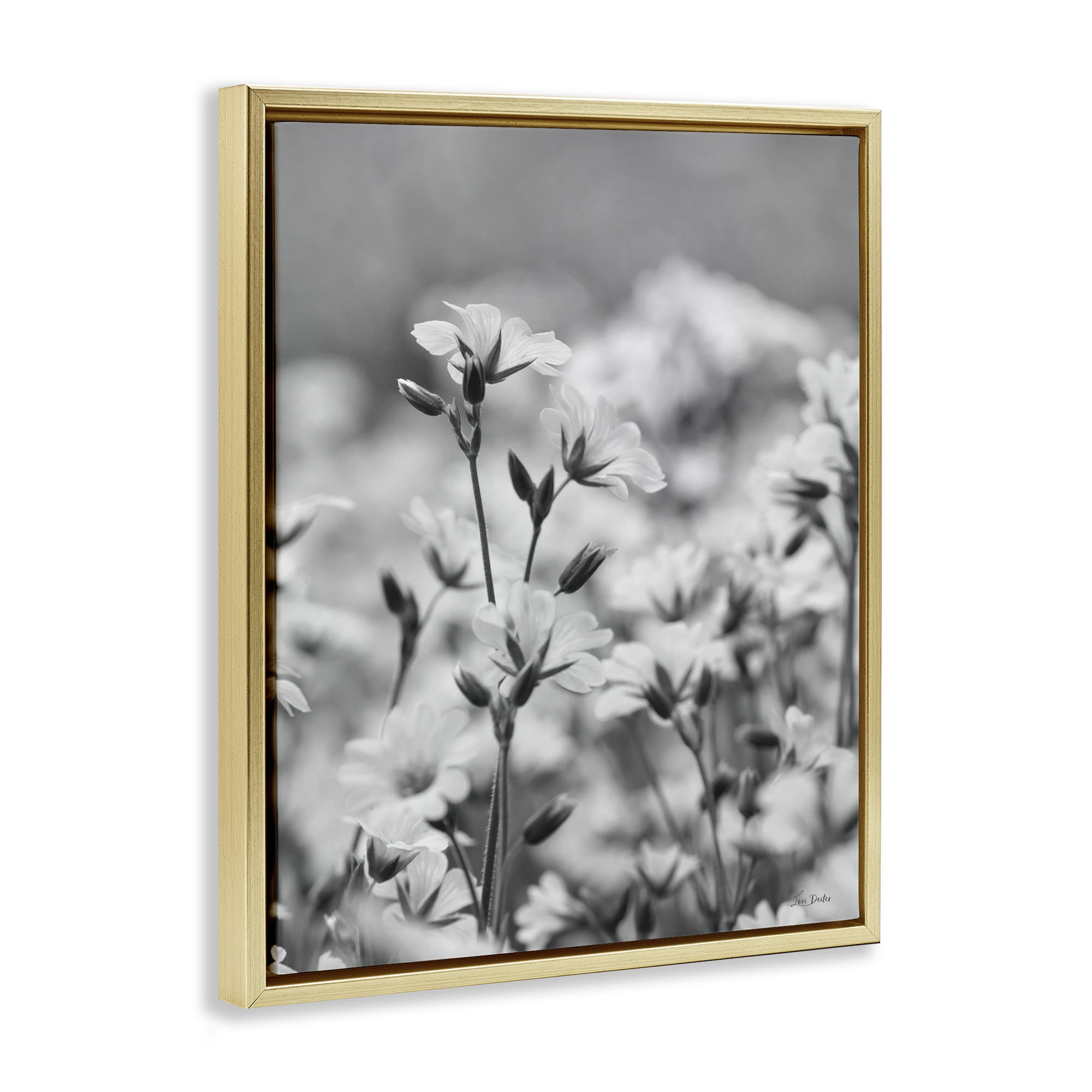 Stupell Industries Budding Meadow Flora Botanical & Floral Photography Gold Floater Framed Art Print Wall Art, 17 x 21