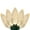Warm White, variant on Wintergreen Lighting White LED String Lights Holiday Lightings, 17' (25 Count)
