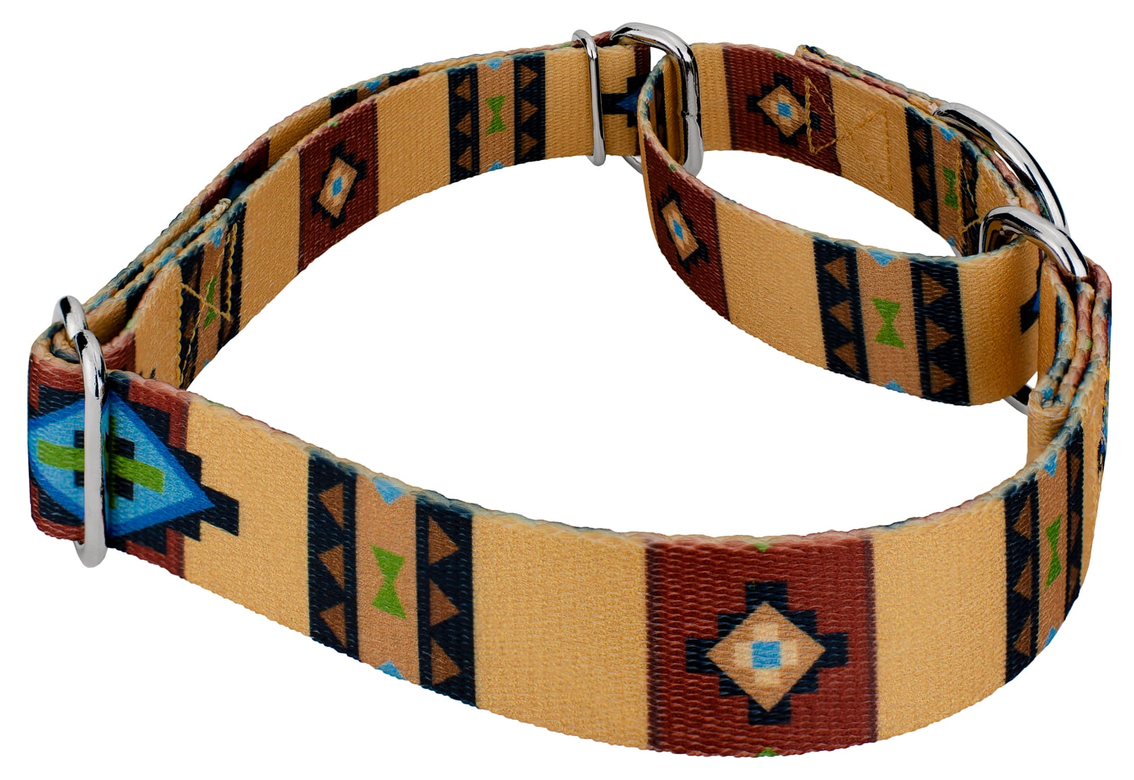 Country Brook Petz® Native Arizona Martingale Dog Collar and Leash, Large