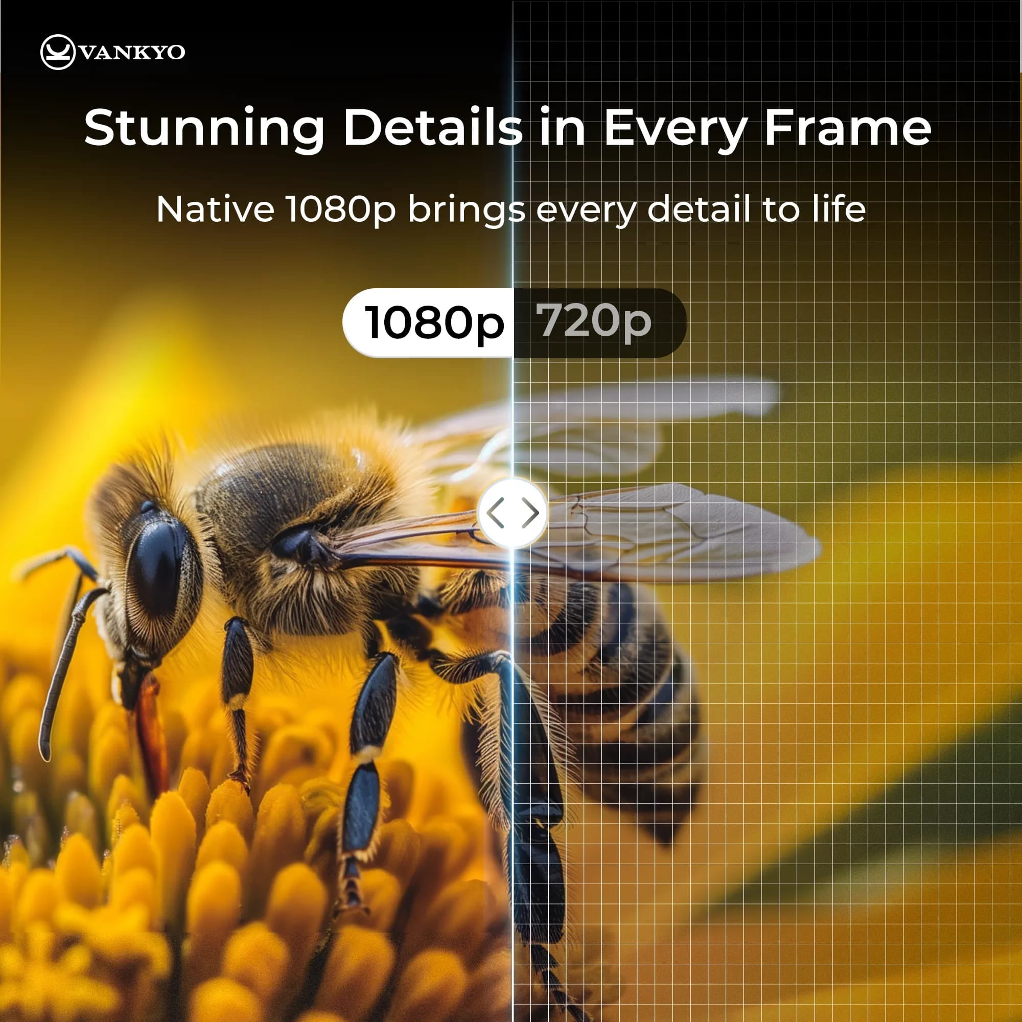 Projecteur Vankyo Leisure L570S Native 1080P avec Dolby Audio VANKYO Loisirs 570S