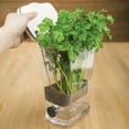 thumbnail image 5 of Progressive International PKS-930 Plastic ProKeeper Herb Keeper, 1 Piece, White, 5 of 5