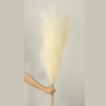 thumbnail image 4 of artificiales de hierba sintética, 3 piezas de tallos de 43 pulgadas en colores naturales, decoración bohemia para el h BLESIY hierba de pampa seca, 4 of 8
