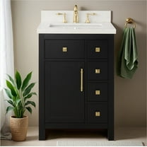 Lavanti Oakford Solidwood 24-inch Bathroom Vanity with Sink - Stylish Black