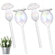 thumbnail image 1 of 4 globos de riego para plantas, inserto de maceta de vidrio iridiscente con autorriego, dispositivo de riego con forma de hongo y globo transparente con degradado de arcoíris, 1 of 7