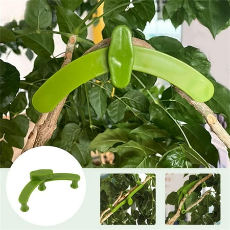 

Bonsai Making And Bending Tools Press A New Generation Of 360-degree Correction Strips To Fix Twisted Branches And Fruit Tree Pull Shapers Leodye Clearance Black of Friday Special Offers