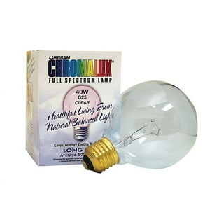 GE Appliances Light Bulb, 40 Watt, Medium Base, Clear Glass, Fridge Light  Bulb (1 Pack)