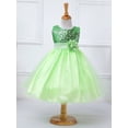 thumbnail image 2 of Vestido de niña, falda de malla para niña, vestido de niña, vestido de actuación para vacaciones, talla mediana y grande, 2 of 6