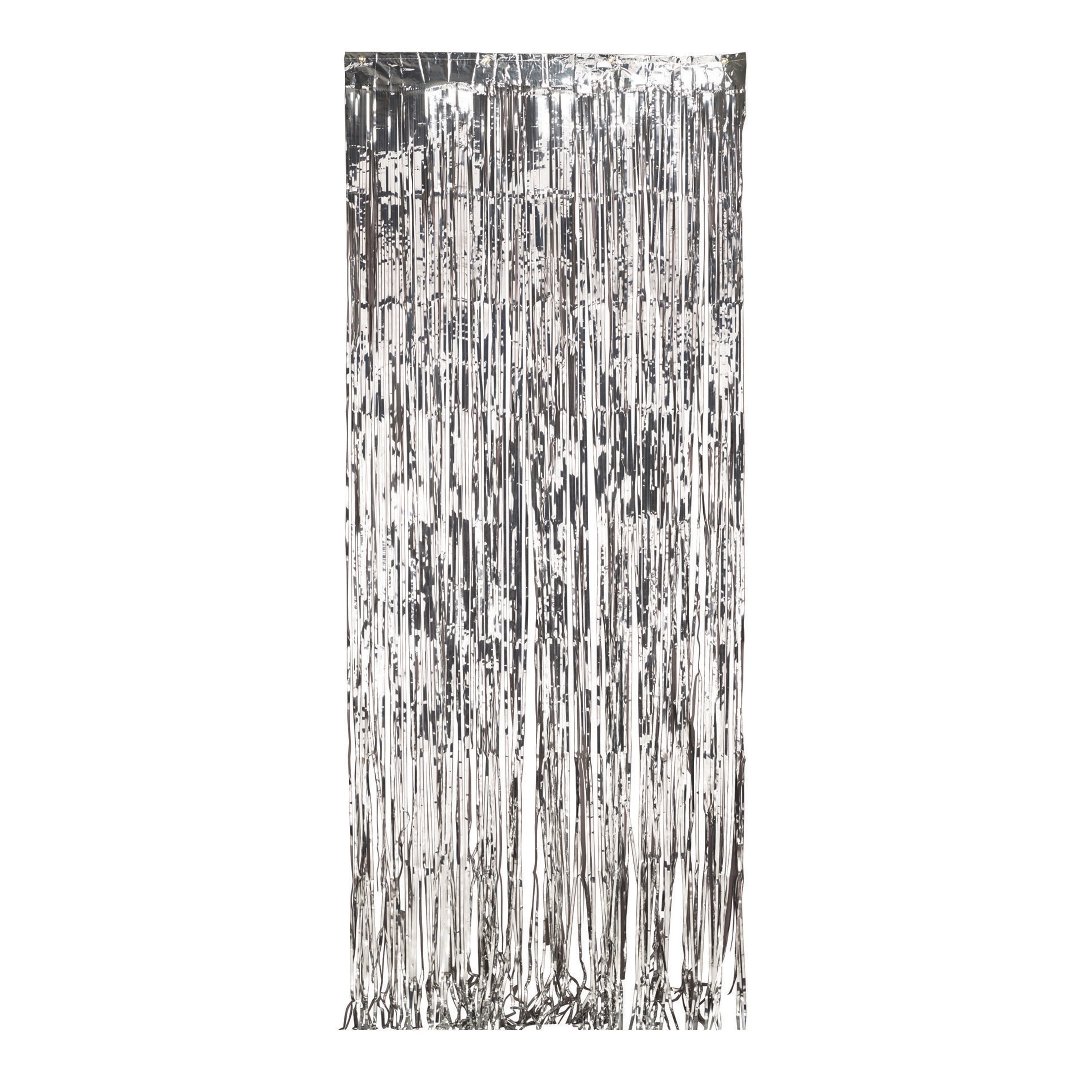 8ft x 3ft Silver Door Fringe, 1 count
