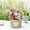 C, variant on Rattan Woven Flower pot Handmade Woven Planter Basket Natural Plant Containers Suitable for Indoor And Outdoor Plant(L)