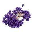 thumbnail image 1 of Ounissouiy 6/8/10/12/50/70/90 Uds. Mezcla de flores moradas cereza estambre bayas paquete DIY Navidad pastel de boda caja de regalo decoración de coronas Flores artificiales No.15 Ounissouiy HA002016-15, 1 of 1