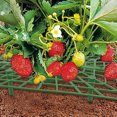 thumbnail image 3 of Paquete de 3 soportes para fresas - Soportes para fresas Maceta de fresas JM JM, 3 of 5