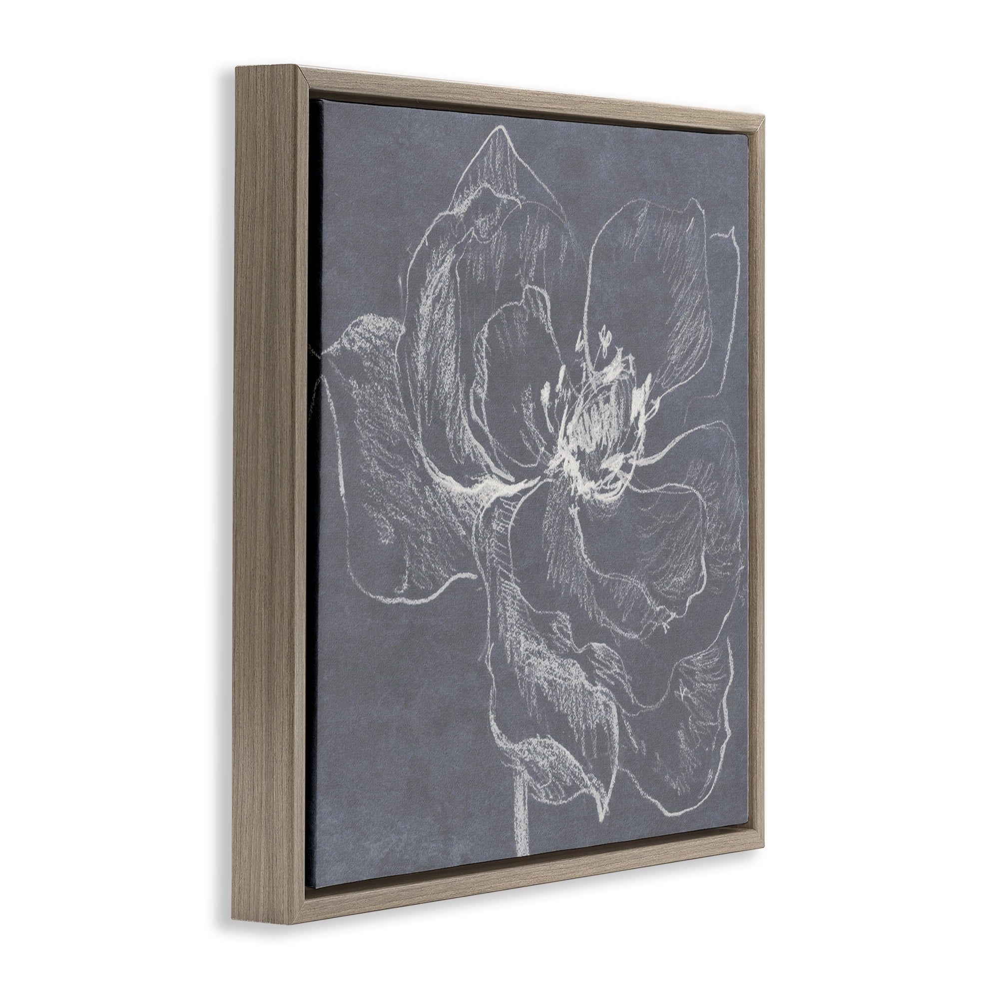 Stupell Industries Magnolia Doodle Outline Plants & Flowers Drawing Brown Floater Framed Canvas Art Print Wall Art, 18 x 18