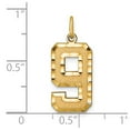 thumbnail image 4 of 14k Yellow Gold Diamond Cut Texture Finish Large Size Number 9 Charm Pendant, 4 of 4