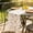 S, variant on NWOKYZGH Embroidery Daisy Gauze Table Runner, Floral Seasonal Sheer Tulle Table Runners, Rustic Cheesecloth, Spring Summer Table Decorations for Kitchen Dining Wedding Holiday Party Decor